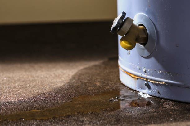 Best Professional water damage repair  in Deenwood, GA