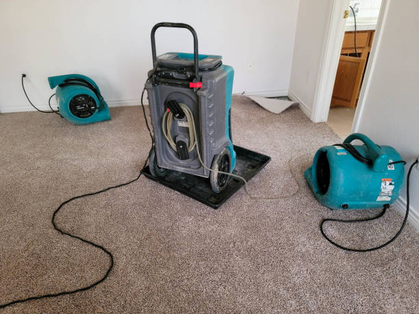 Best Flood damage cleanup  in Deenwood, GA