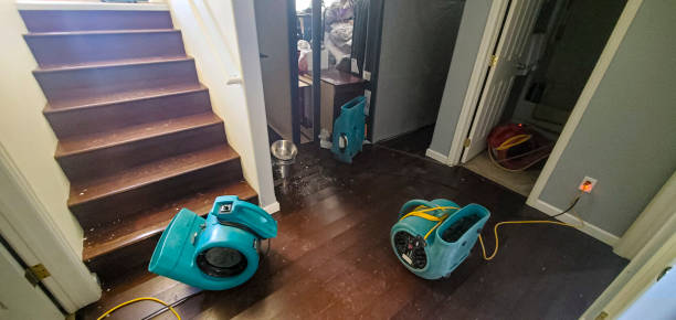 Best 24-hour water damage restoration  in Deenwood, GA