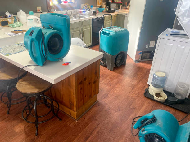 Best Water damage restoration company  in Deenwood, GA