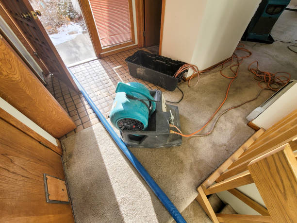Best Mold removal after water damage  in Deenwood, GA
