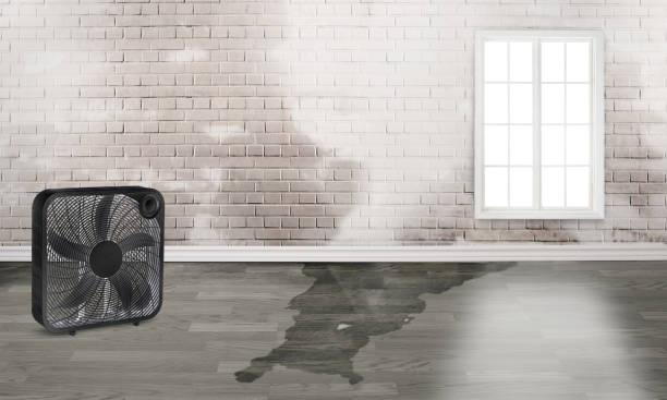 24/7 water damage repair in Deenwood, GA