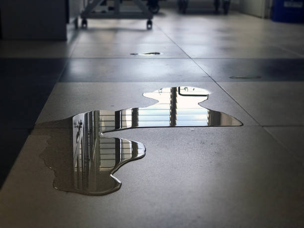 Best Commercial water damage restoration  in Deenwood, GA
