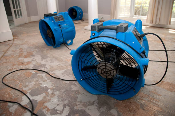 Best Flood damage cleanup  in Deenwood, GA