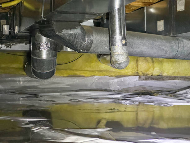 Best Carpet water damage restoration  in Deenwood, GA