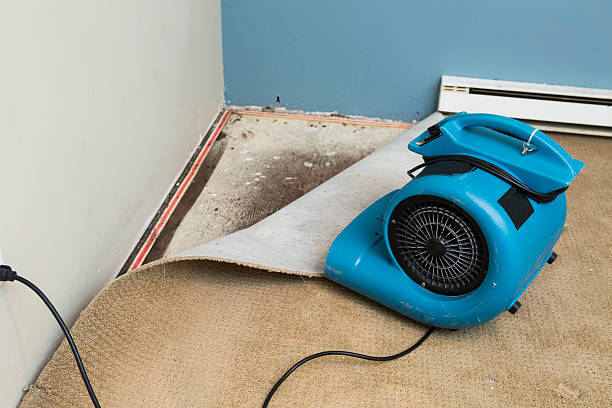 Best Water damage restoration near me  in Deenwood, GA